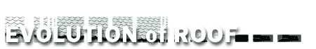 Evolution of Roof